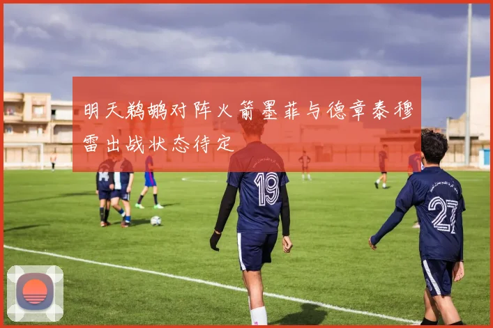 明天鹈鹕对阵火箭墨菲与德章泰穆雷出战状态待定